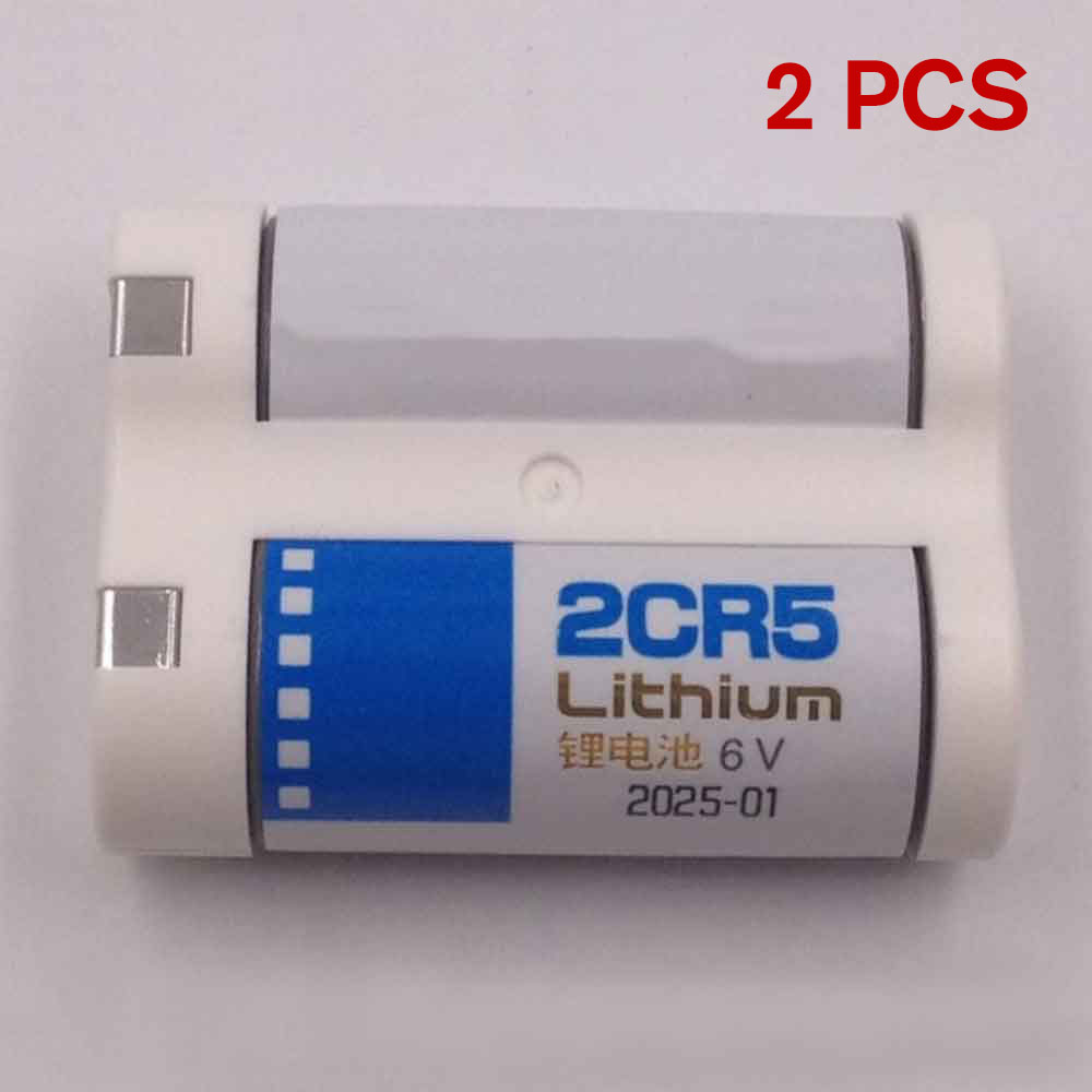 Batterie pour Panasonic DL45 KL2CR5 5032LC 2CR-5W 2CP3845